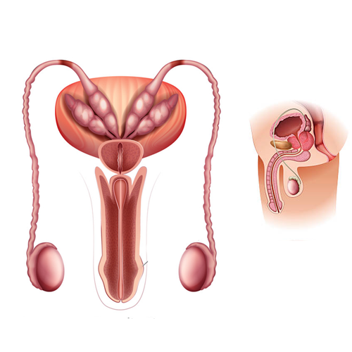 PRP Treatment for Erectile Dysfunction